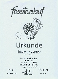 fossiliuslauf 2008